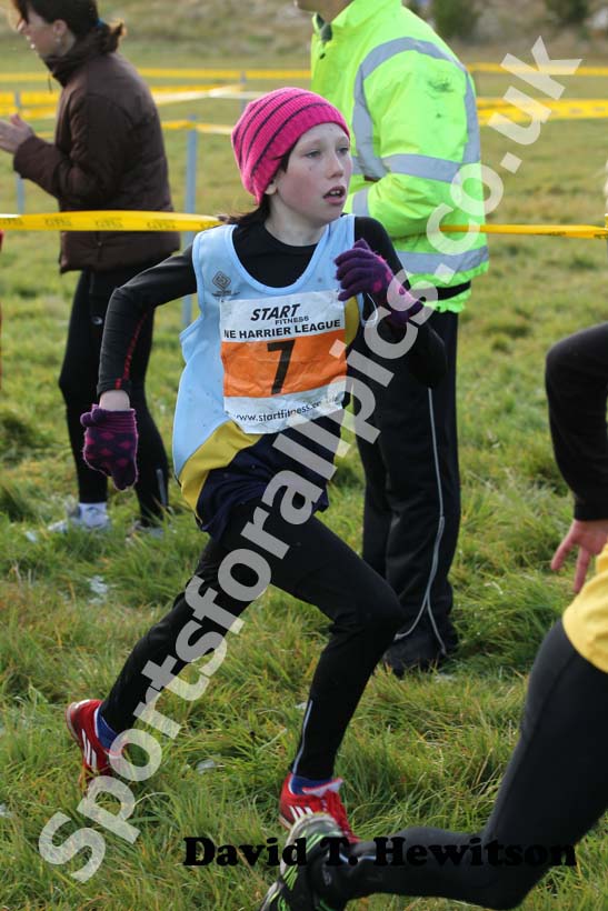 Orange 7, 2012 Start Fitness North East Harrier League, Cramington.